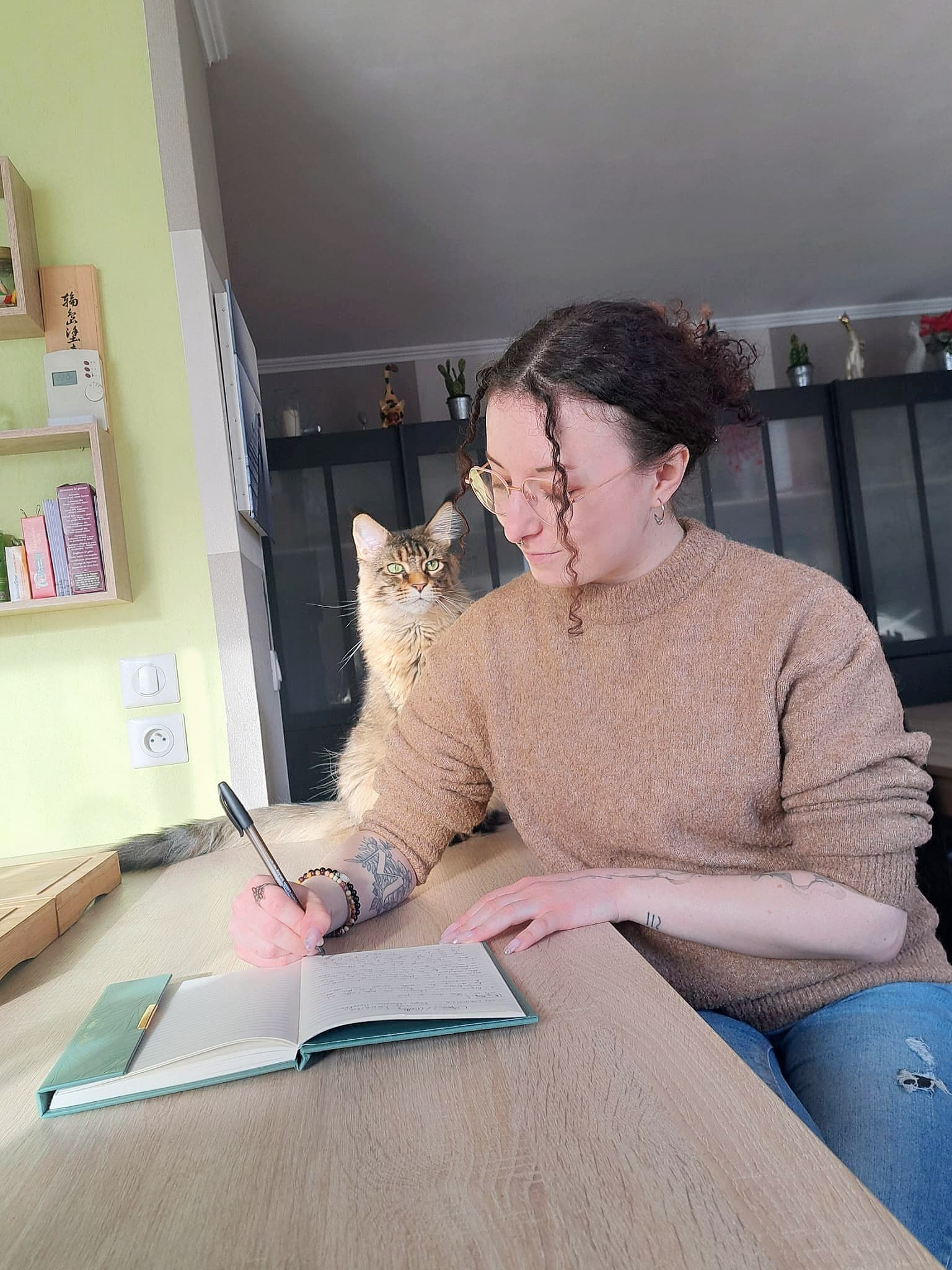 Bannière de Carniya