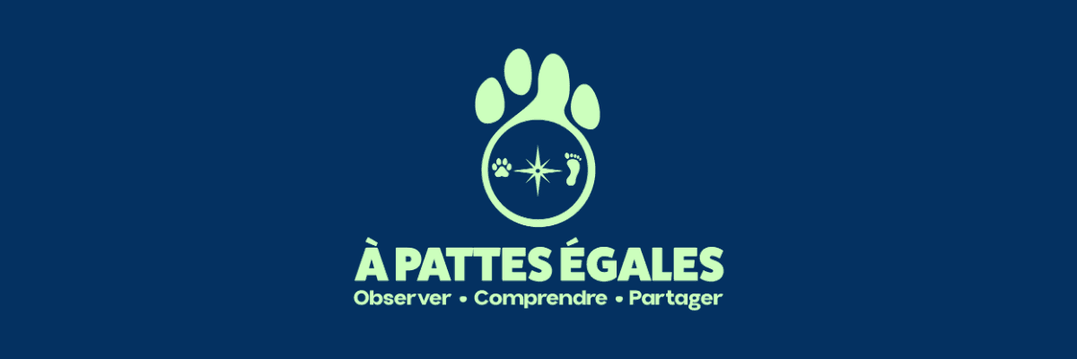 Bannière de À pattes égales