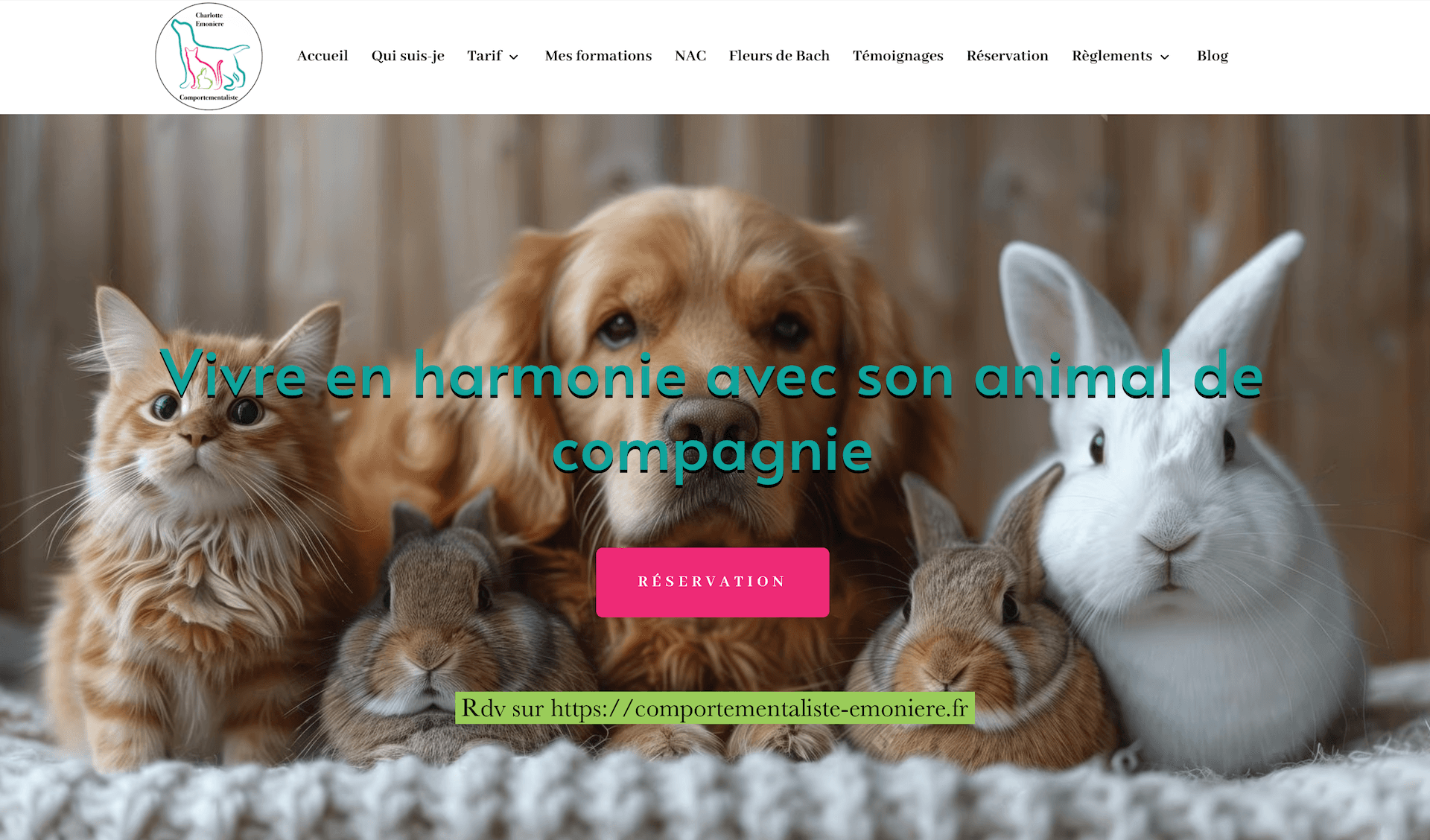 Bannière de Comportementaliste canin, félin et lapin
