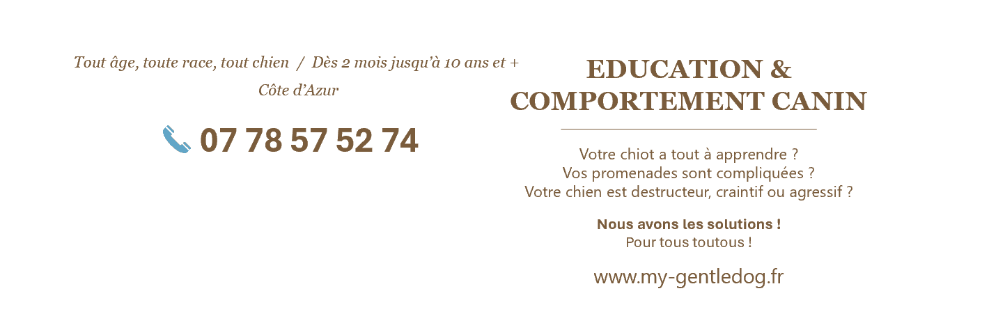 Bannière de My GentleDog