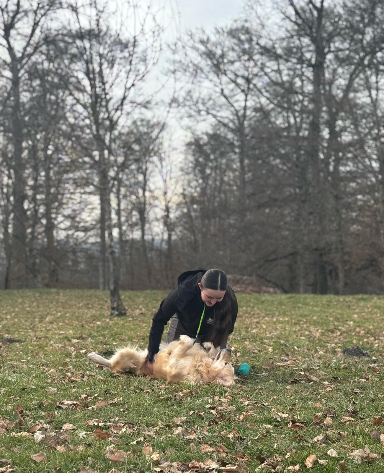 Bannière de Domaine des Saphirs Dorés
