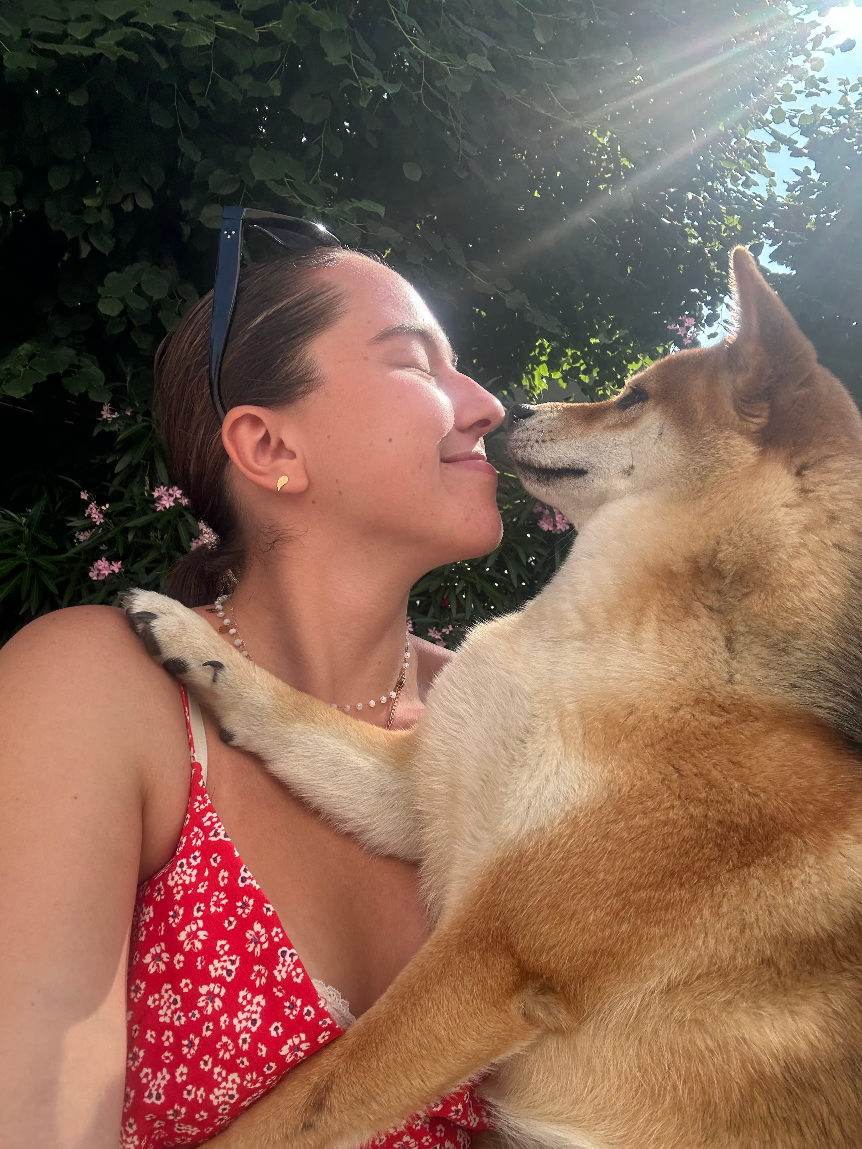 Bannière de La tribu d’Élise et Gégé