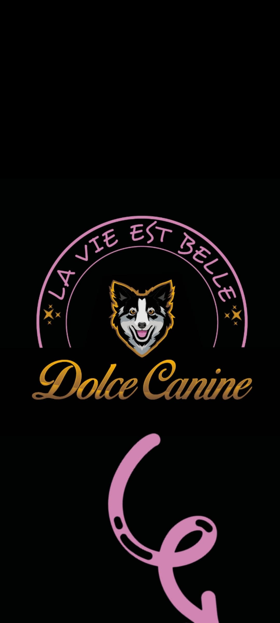 Bannière de Dolce Canine