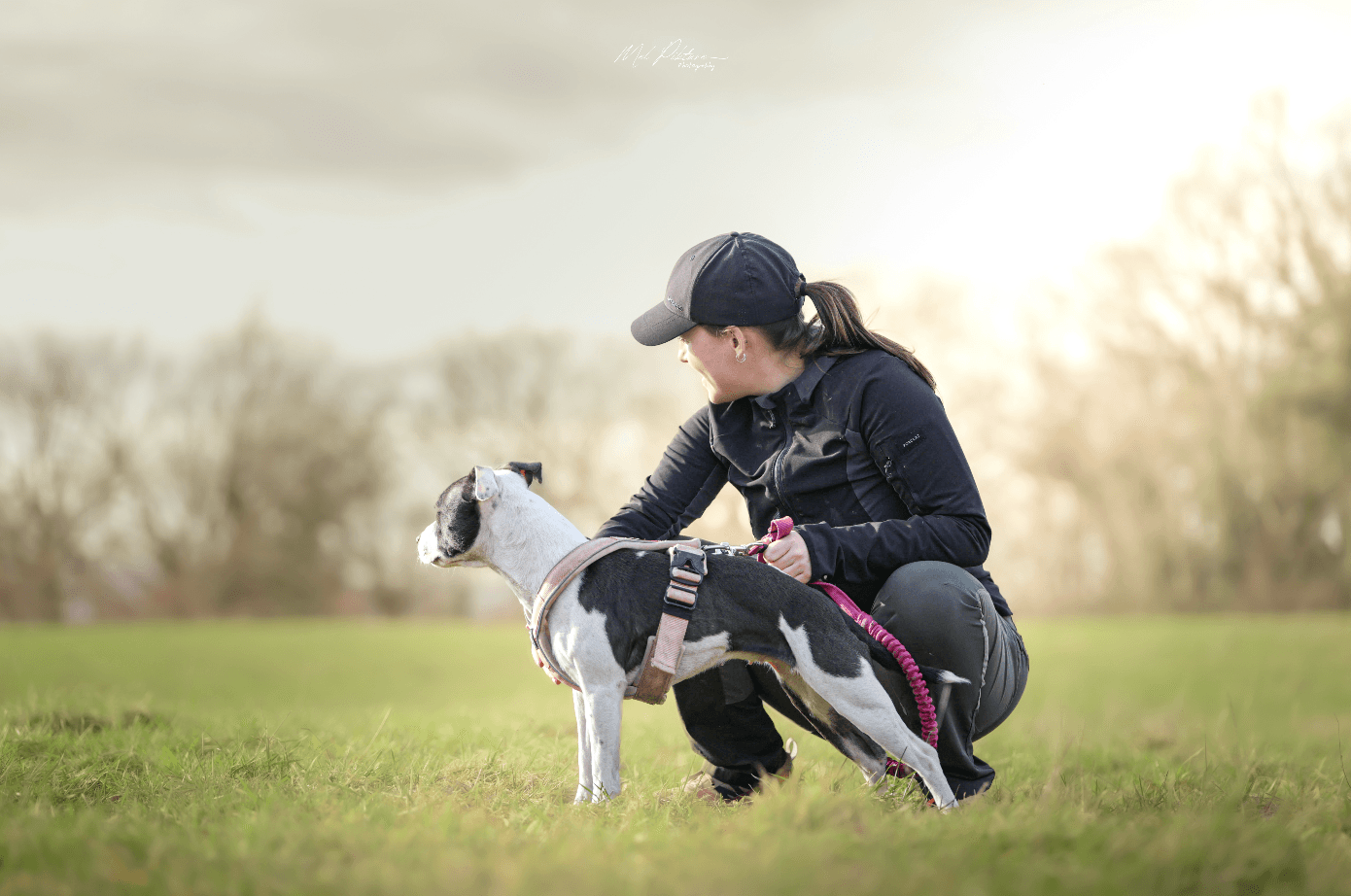 Bannière de Lucile Villard Ostéopathe Animalière