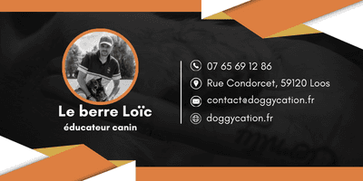 Bannière de Doggy'Cation