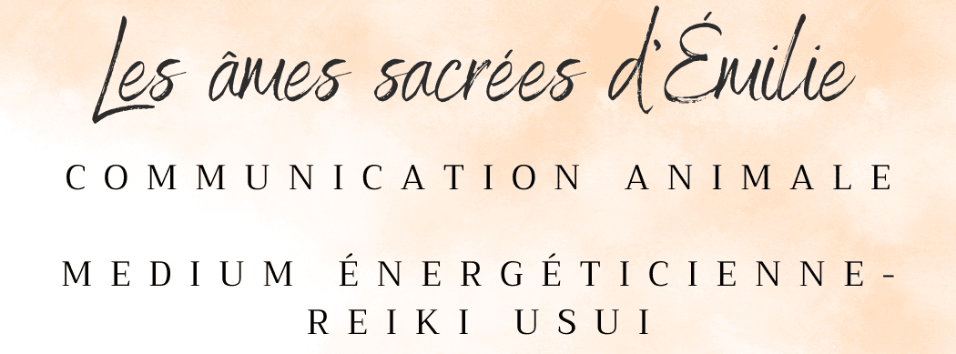 Bannière de Les âmes sacrées d'Emilie - Communication animale et énergéticienne