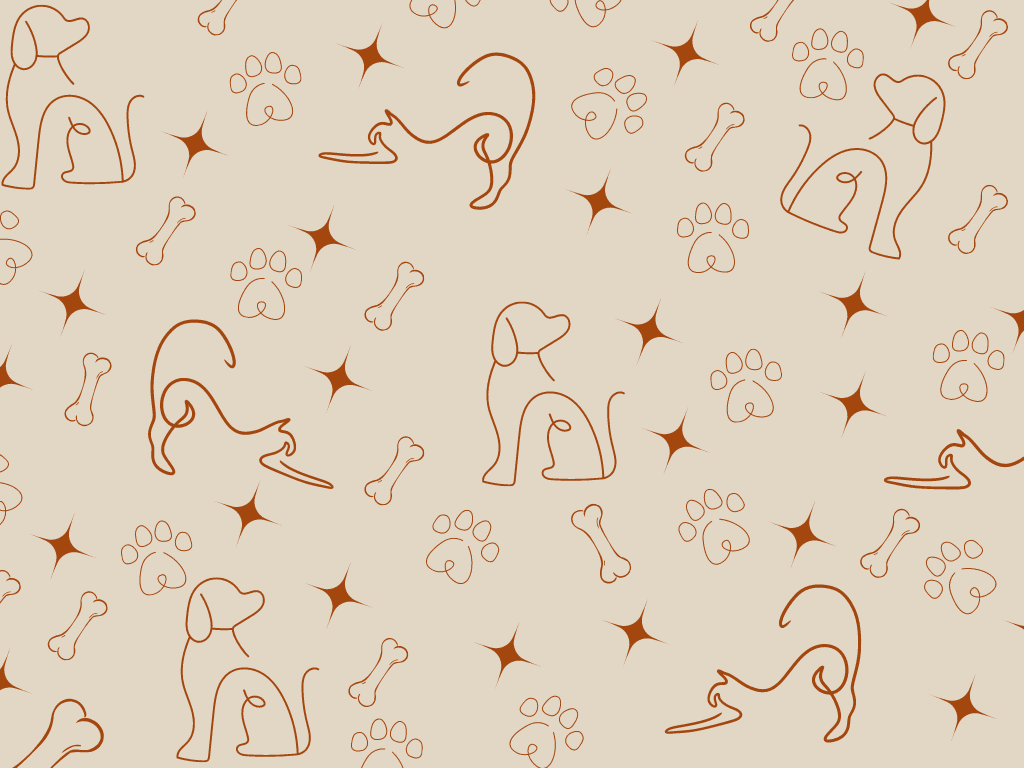 Bannière de Association ARGOS 42