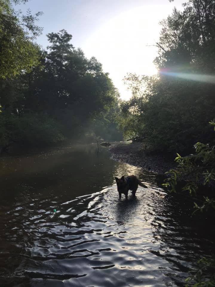 Bannière de Les moments suspendus de Morgane