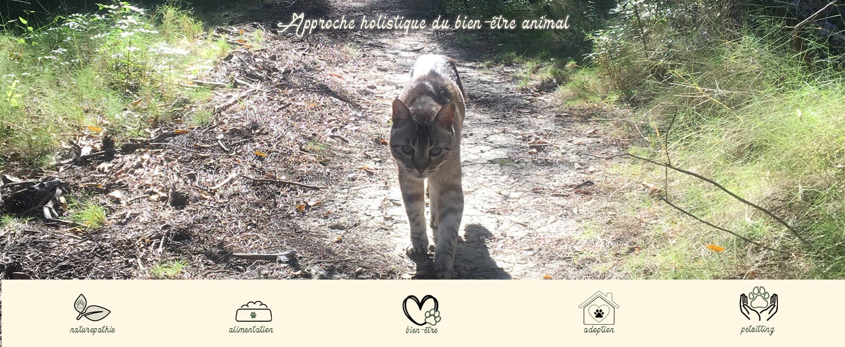 Bannière de Animaulistic