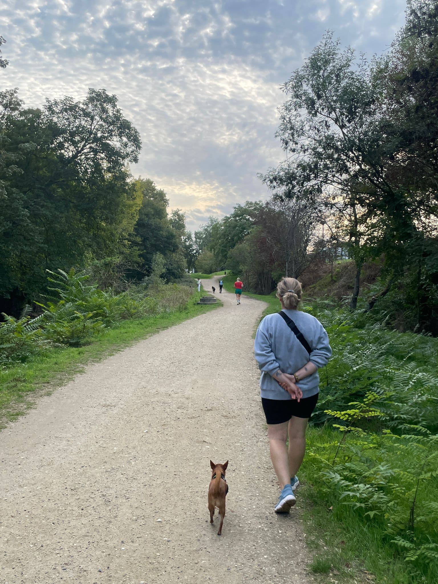 Bannière de La Maison du Chien Orange