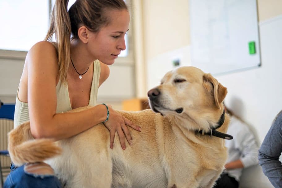 Bannière de Ostéopathe Animalier - Emilie GARCIA - GAÏA