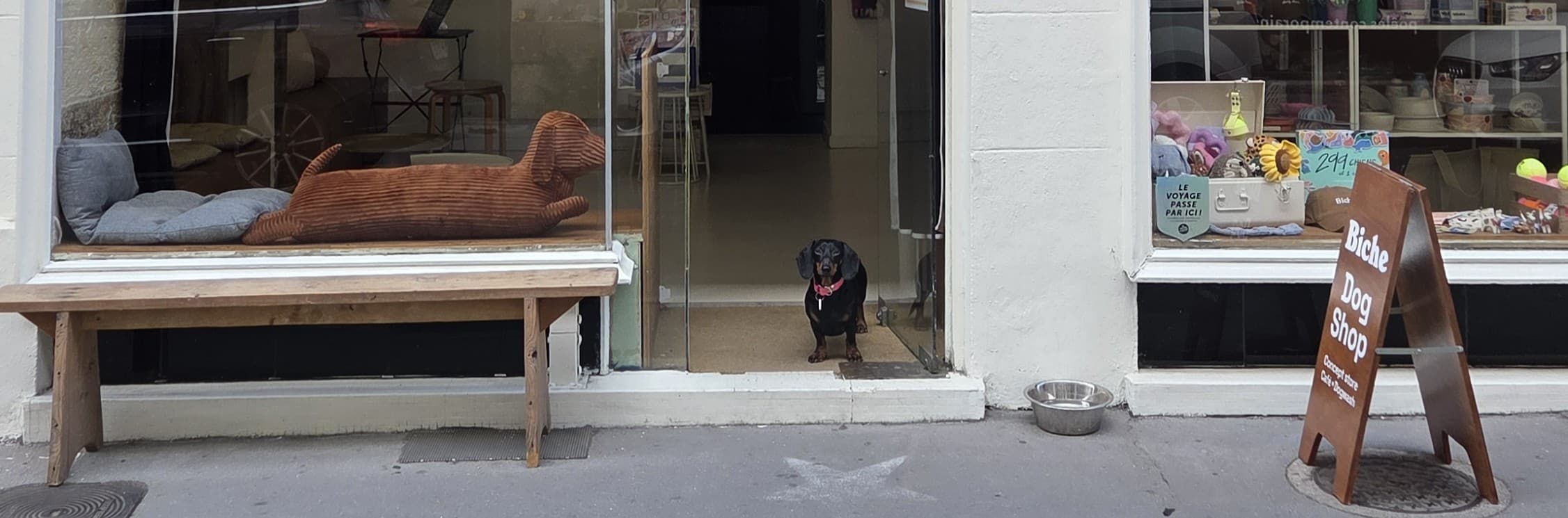 Bannière de Biche Dogshop