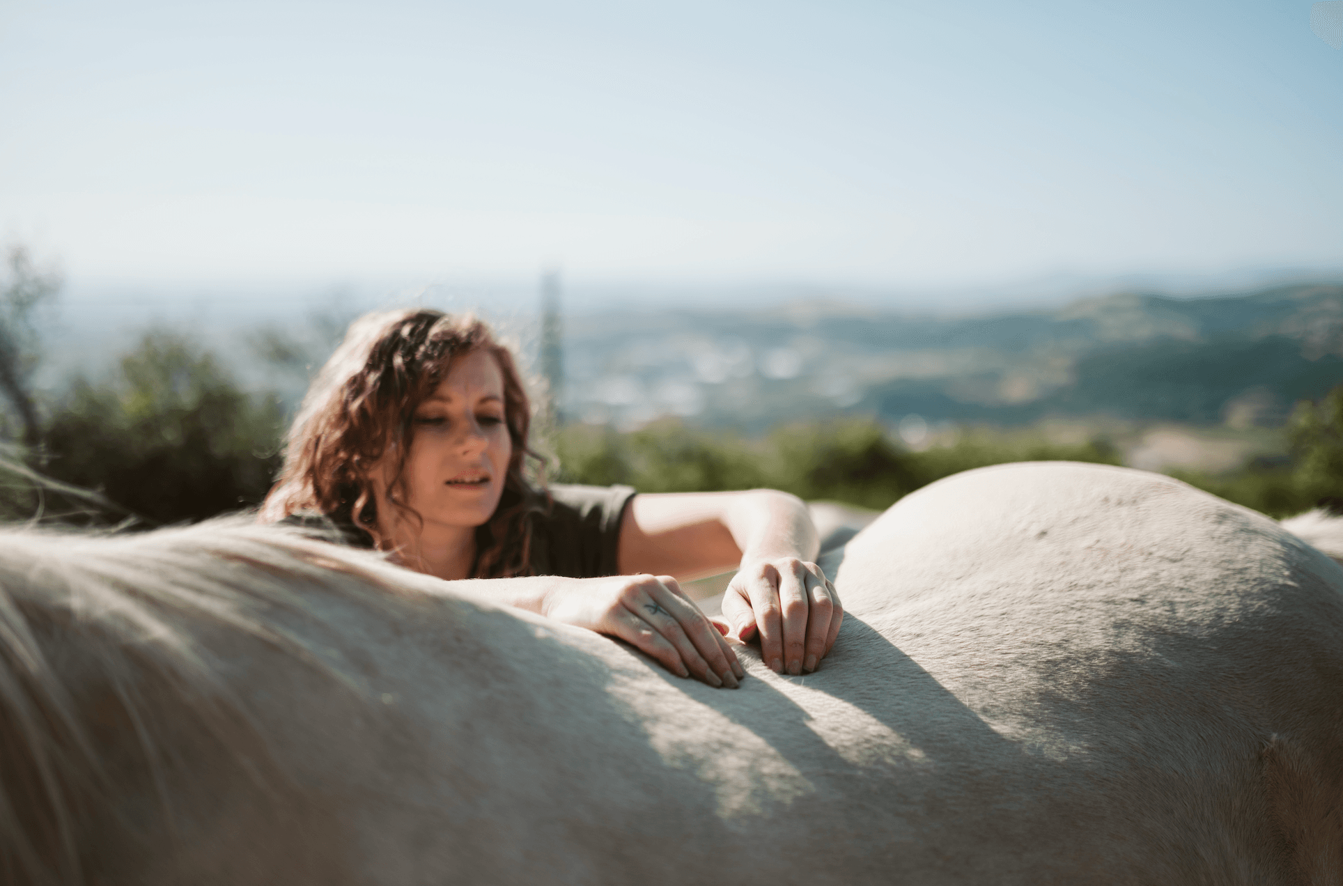 Bannière de Conval'Essence - Ostéopathie Animale Lyon