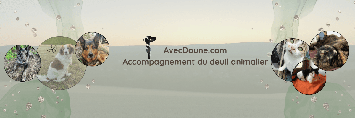 Bannière de Avec Doune