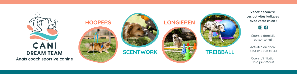 Bannière de Cani Dream Team