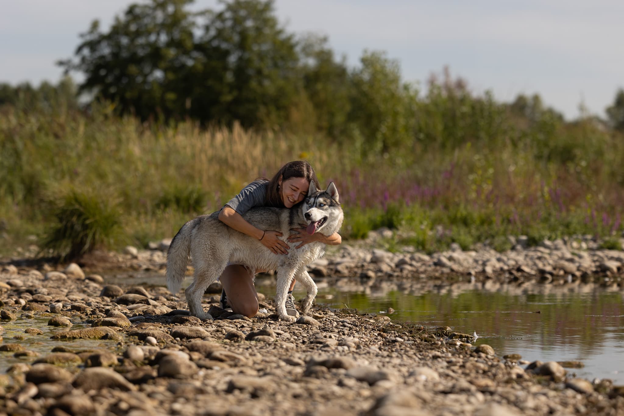 Bannière de The way of dog