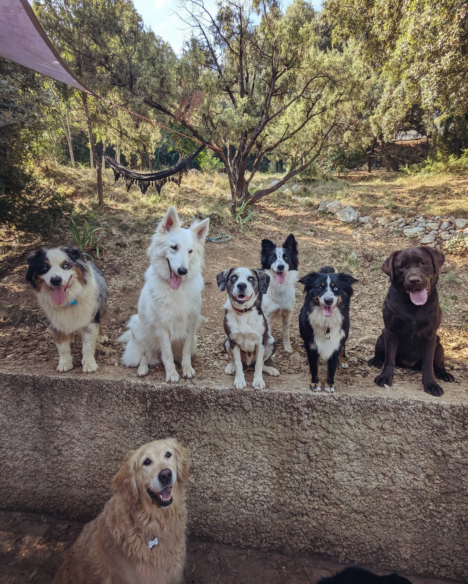 BanniĂšre de Onlyâs friends