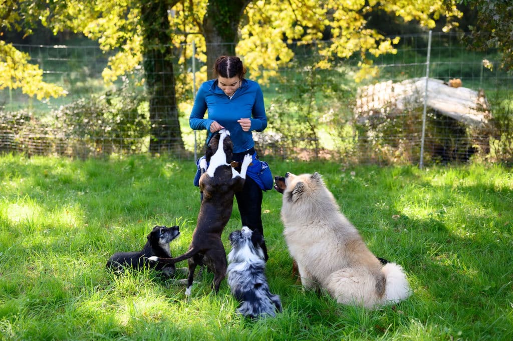 Bannière de Pattoune Highschool