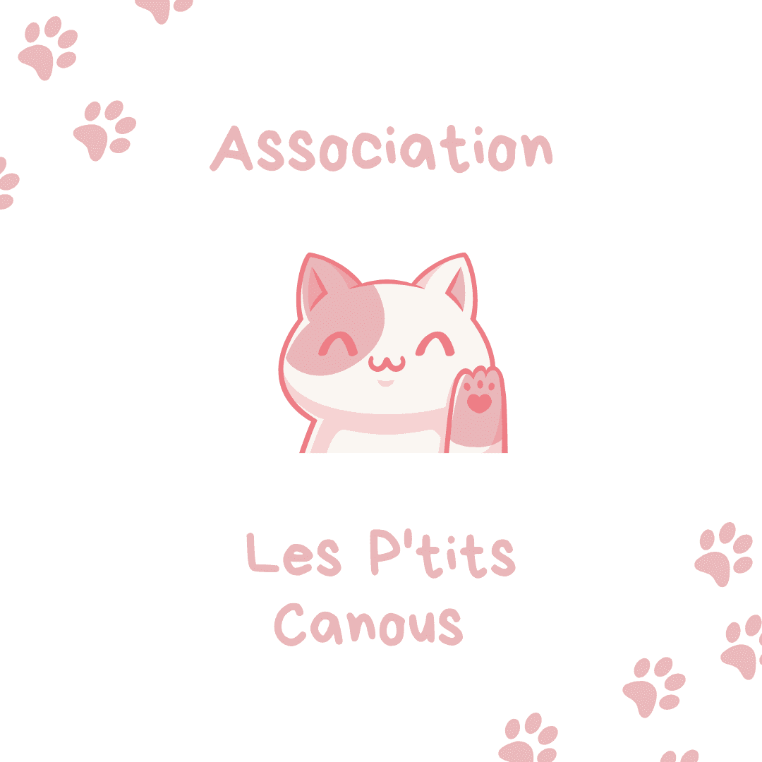 Les p'tits canous Association