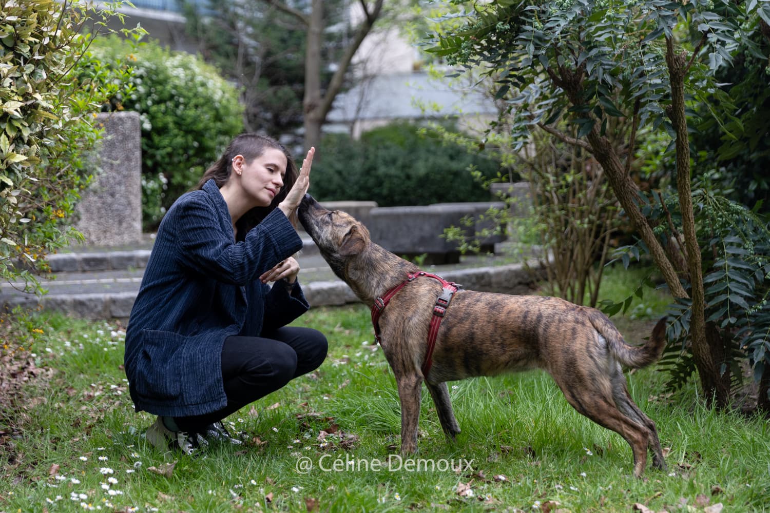 Bannière de Charlotte Courrière